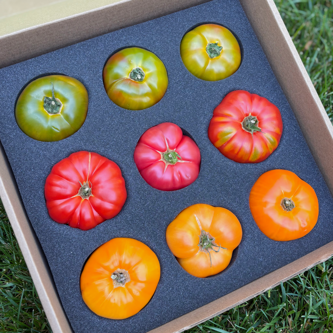 Flavor Flight: Red, Orange, and Green Heirlooms