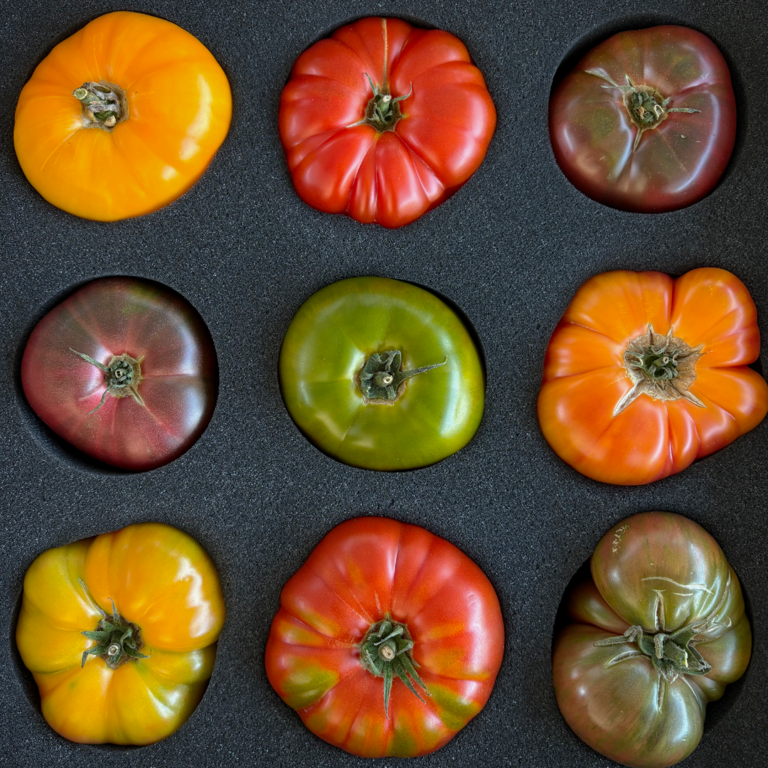Certified Tomato Snob  Season Membership