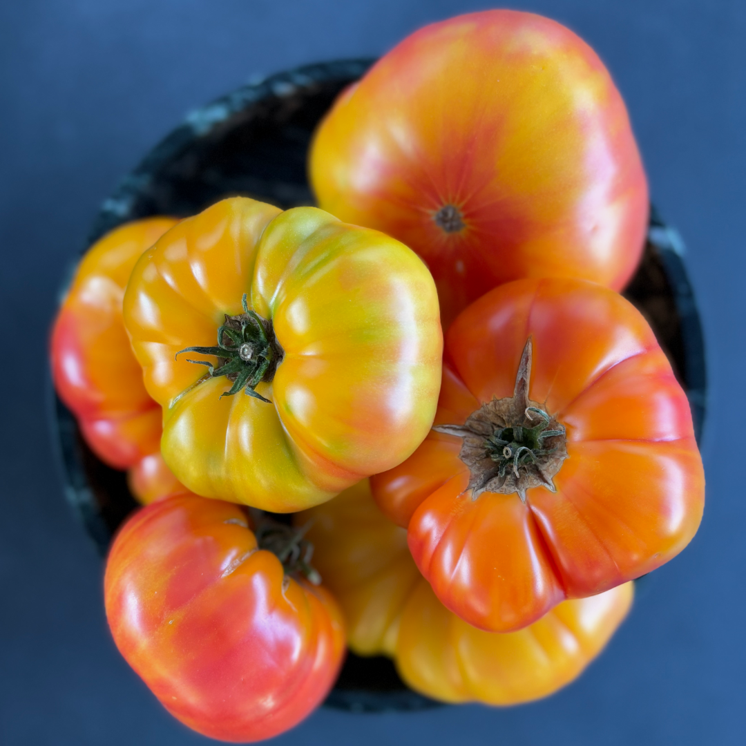 Certified Tomato Snob  Season Membership