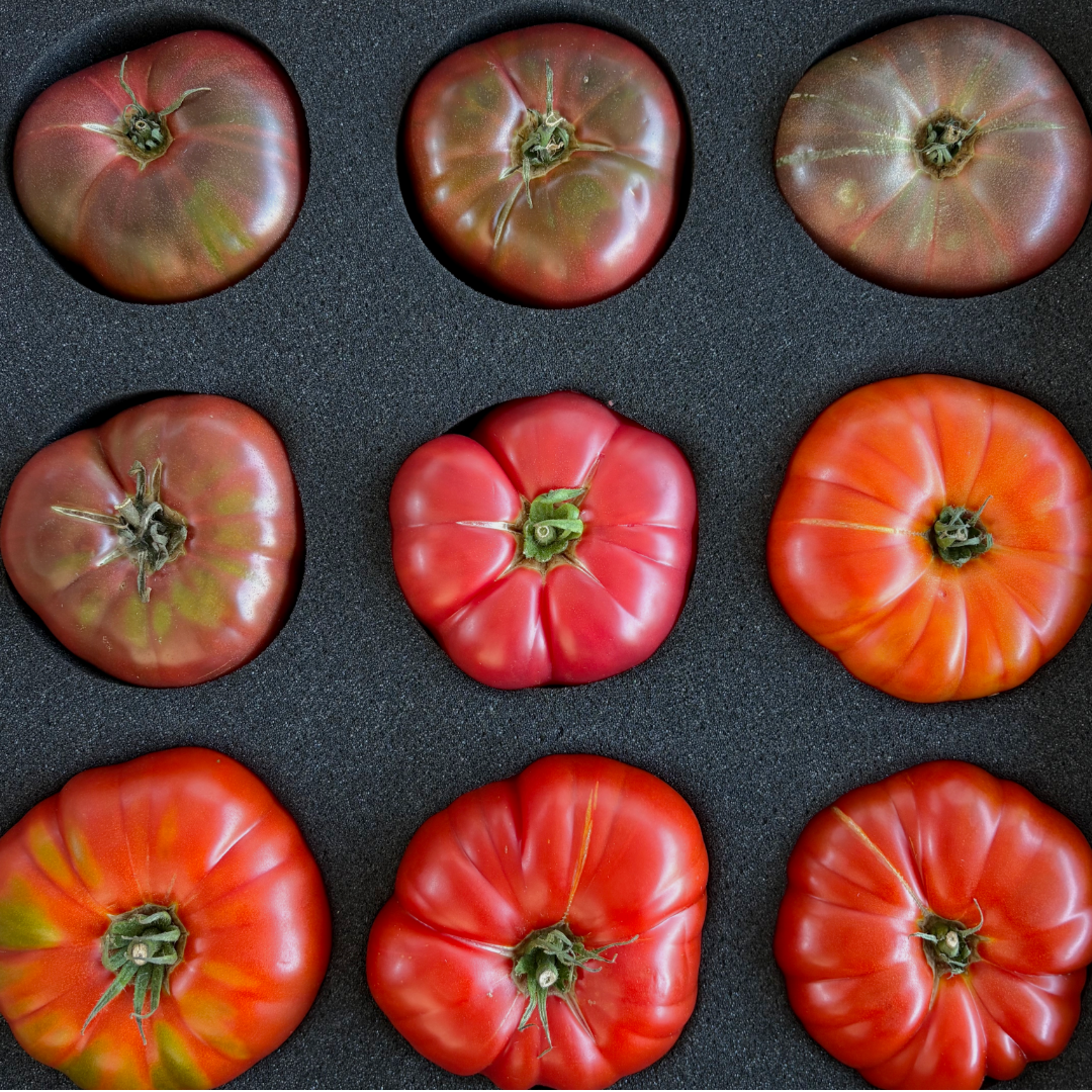 Premier Picks: Mixed Red Heirlooms