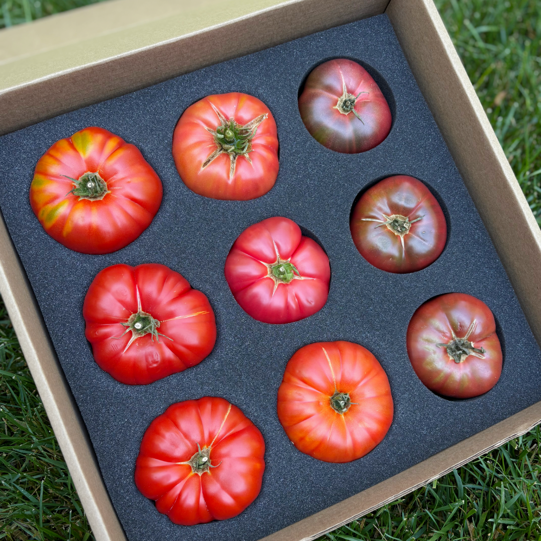 Premier Picks: Mixed Red Heirlooms